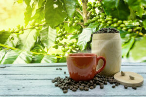 How Green Coffee Can Lower Blood Sugar Levels and Boost Health